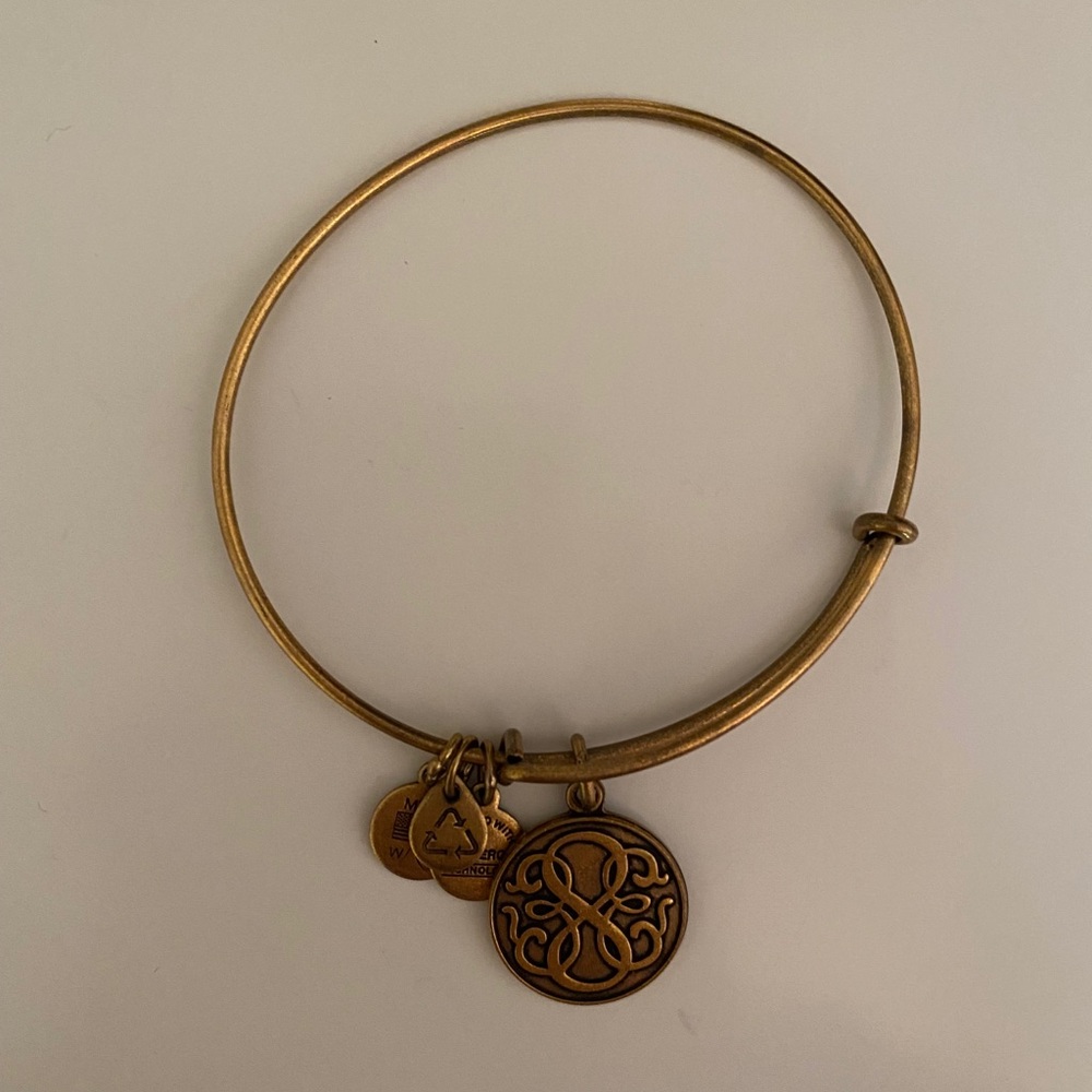 Alex and Ani Path of Life Bangle